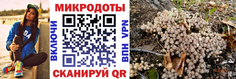 Галлюциногенные грибы Cubensis маркетплейс формула Монино mega как зайти