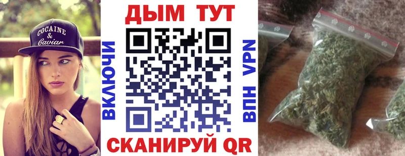 где можно купить   Монино  Конопля ГИДРОПОН 